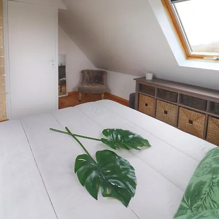 Le Petit Cosy De Kerigou Avec Vue Et Holiday home *